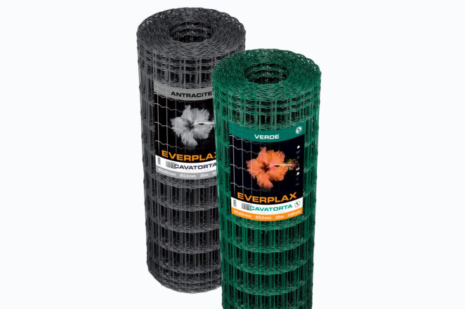 Everplax - Image 3