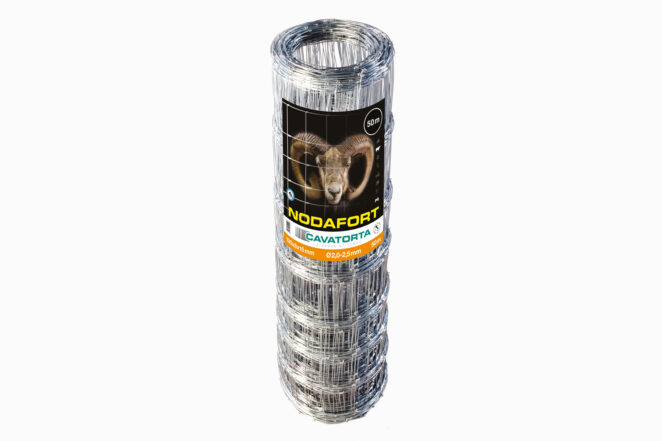 Nodafort - Image 3