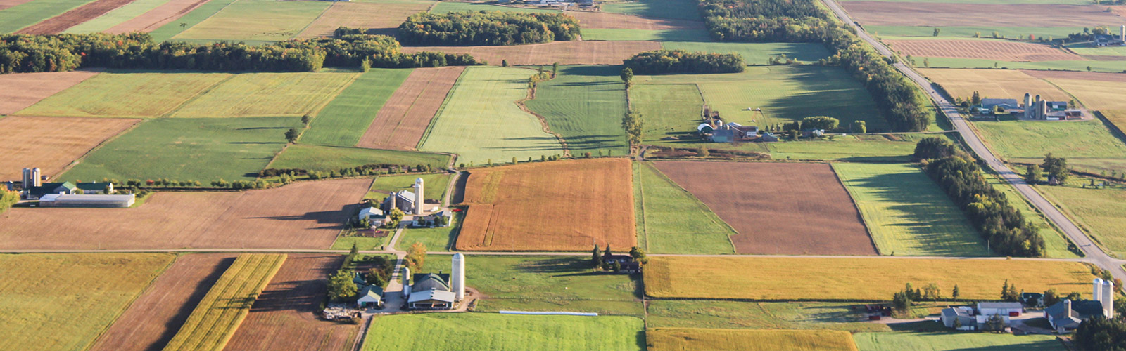 Recinzioni aree agricole